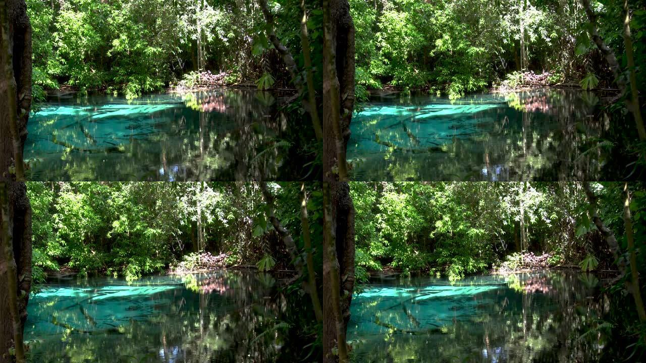 翡翠池 (Sra Morakot Blue Pool) 或泰国甲米省的Tha Pom Klong S