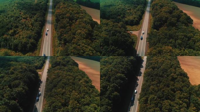无人驾驶飞机在古老的森林道路上飞来飞去，两边茂密的树林绿树成荫。