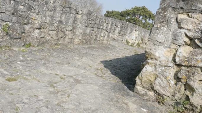 塔顶石质古城堡通道倾斜4K
