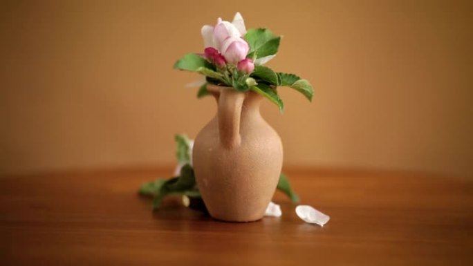 春天粉红色的苹果树花在一个粘土花瓶