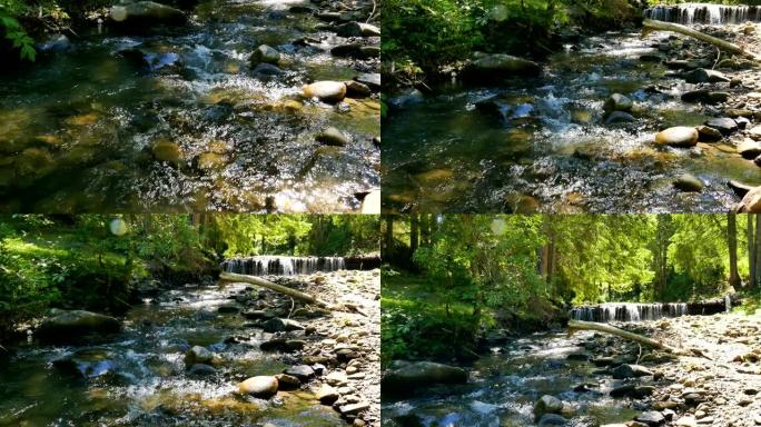 4K.山溪，带瀑布的树林河。全景