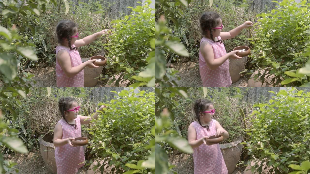 女孩在花园里摘茉莉花