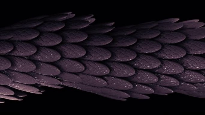 抽象优雅的紫色移动管许多羽毛被黑色背景上的粘性物质覆盖，无缝循环。动画。许多椭圆形的小羽毛
