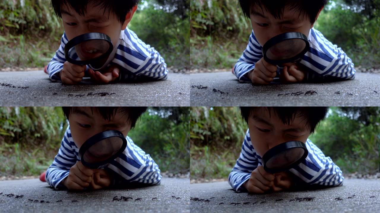 聪明的男孩用放大镜看蚂蚁