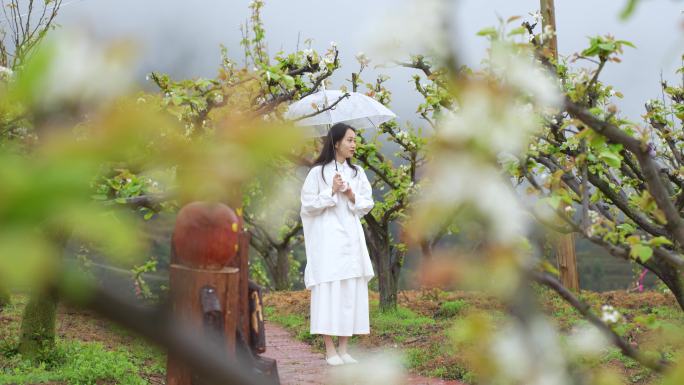 梨花美少女雨中拿伞滴水江南水乡村素材李花