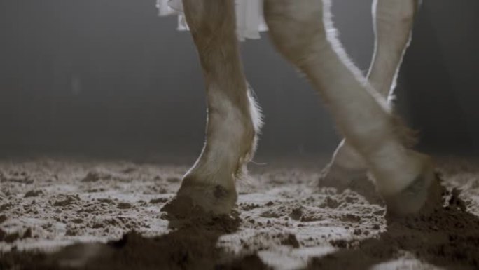 白马蹄在地上行走。白布遮住了马。