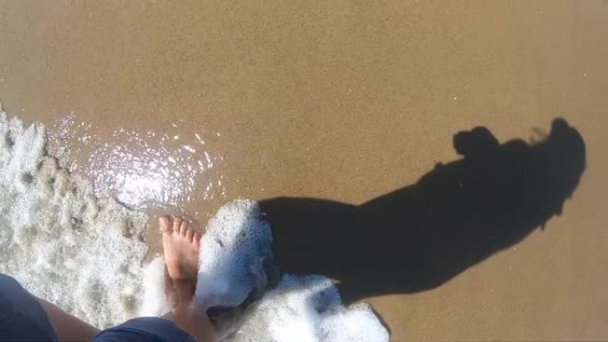 在岸上潮湿的沙滩上行走的女孩的黑影