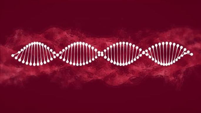 紫色背景上的DNA菌株在紫色云上旋转的动画