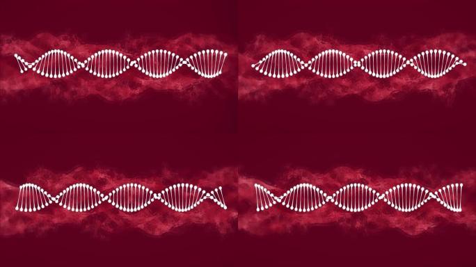 紫色背景上的DNA菌株在紫色云上旋转的动画