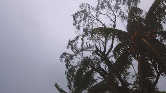 毛里求斯、默维尔海滩的飓风期间，雨和风以及非常恶劣的天气条件