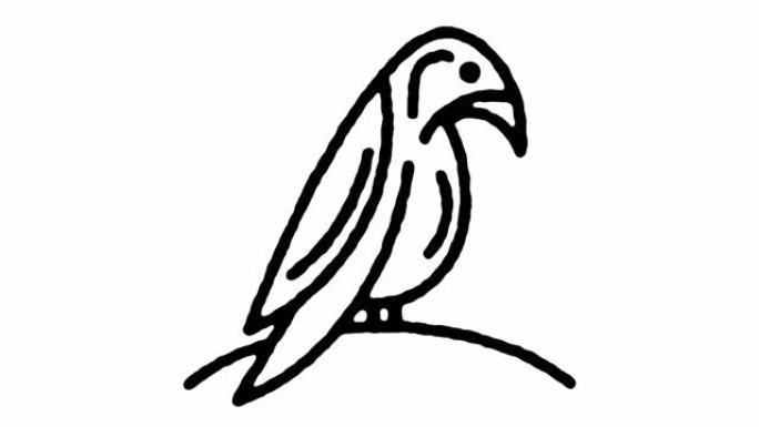 凤头鹦鹉素描线图标动画