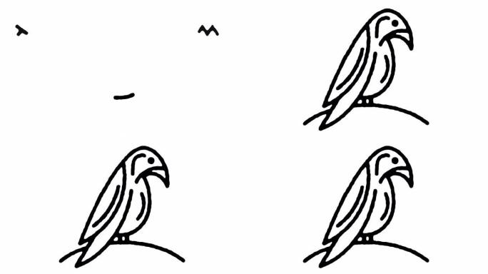 凤头鹦鹉素描线图标动画