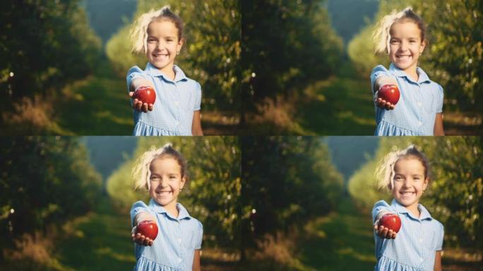 小女孩在户外提供一个红苹果。特写。复制空间。4K。