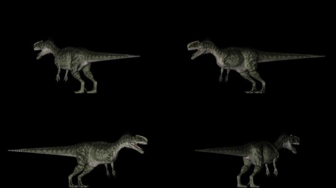 黑色背景上旋转的单龙龙恐龙