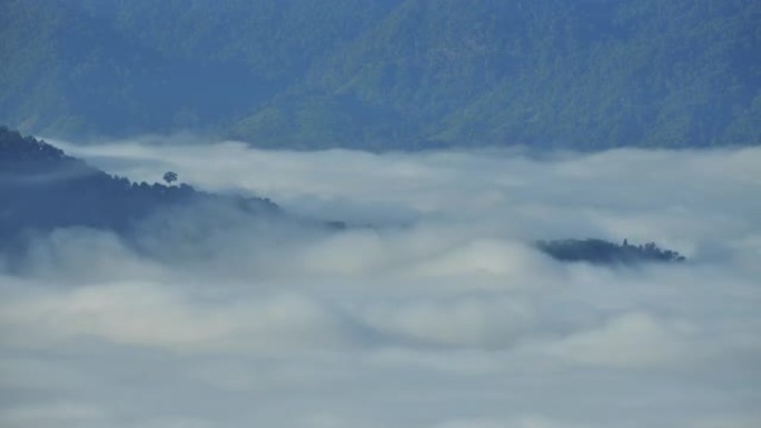 大海的雾云海雾气流动山脉云层翻滚森林山峰