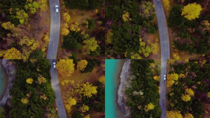 树叶 驾驶 茂盛的树叶 公路旅行秋天旅行