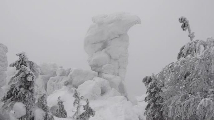 山顶有雾的冬季天气。驼头形的石崖完全被雪和霜覆盖。树枝在风中略微摇摆。