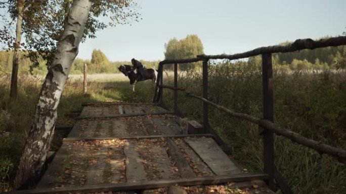 一只好奇的猫偷偷溜过一座木桥，向坐在马背上的女孩骑手靠着自然景观