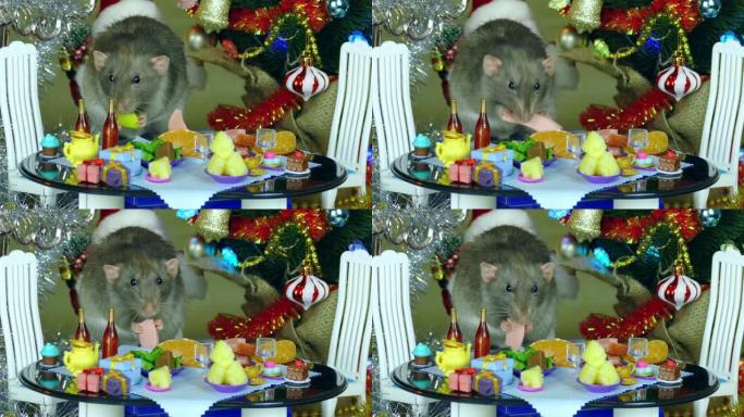 老鼠在新年的节日娃娃桌上吃饭