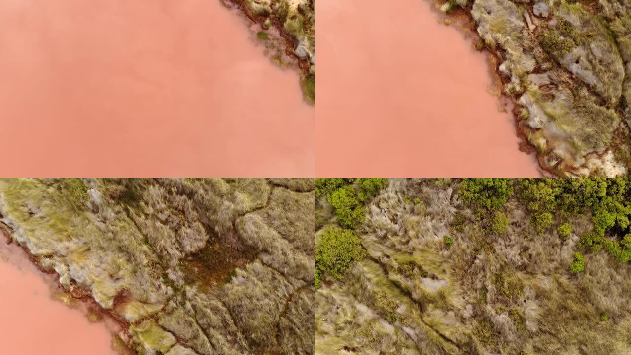 西澳大利亚州色彩丰富的湖泊中的粉红色水
