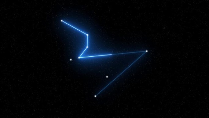 Hydrus-带有星域空间背景的动画十二生肖星座和星座符号