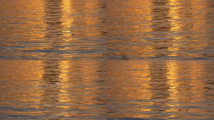 波光粼粼水面4K超清晰