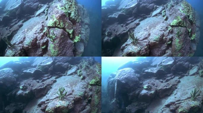 贝加尔湖的水下岩石。