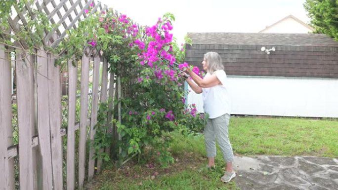 佛罗里达州奥兰多后院的西班牙裔高级妇女园艺视频