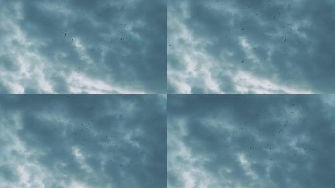 海鸥在天空中飞翔，一群海鸟在海平面以上，许多海鸥在阴天飞翔，雨云和海鸥