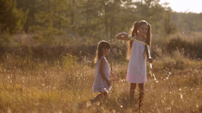 在阳光明媚的夏日，孩子们在森林附近的草地上玩得开心。一个七岁的女孩在制造大气泡，她四年的妹妹跑去抓。