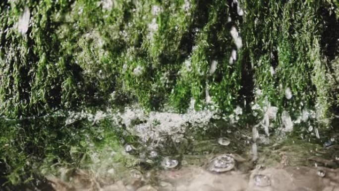 水滴落入水中，水中的绿藻，溅起了水。