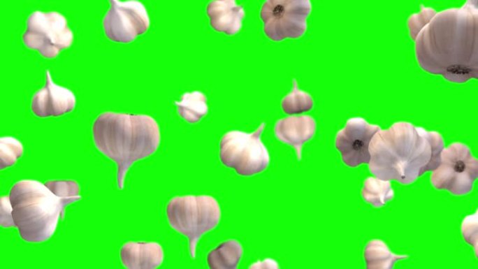 大蒜颗粒绿色屏幕循环动画