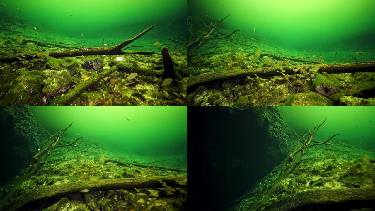 尤卡坦州墨西哥塞诺特斯水下洞穴中的洞穴潜水。