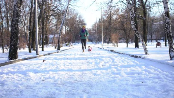 年轻女子穿着红色毛衣和杰克罗素梗一起跑步。穿衣服的小狗。冬天在公园里阳光明媚的下雪天慢跑。冬天做运动