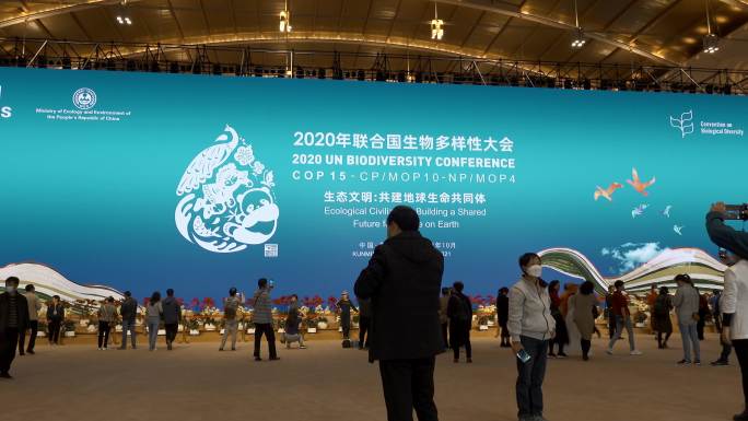 国际会展中心2020联合国生物多样性大会