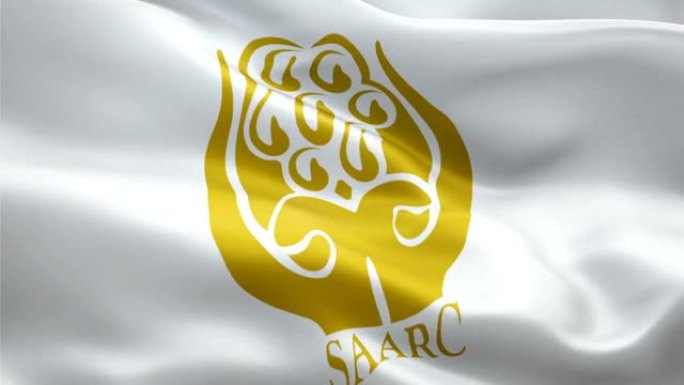 南亚区域合作联盟的旗帜在风中飘扬。现实的SAARC旗帜背景。SAARC旗帜特写1080p全高清192