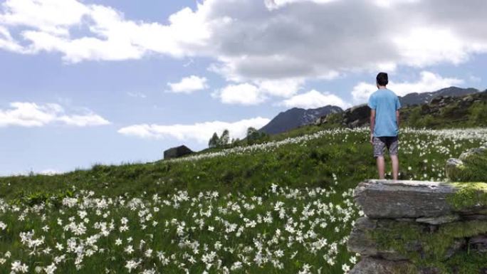 一个男孩站在支线上的视差景观，看着雪绒花盛开的高山草地。电影胶片
