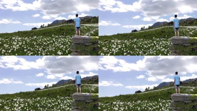 一个男孩站在支线上的视差景观，看着雪绒花盛开的高山草地。电影胶片
