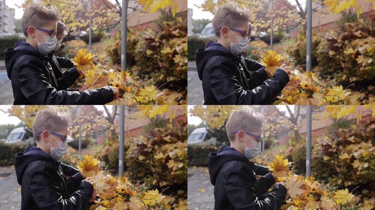 两个男孩从树篱上捡起秋叶