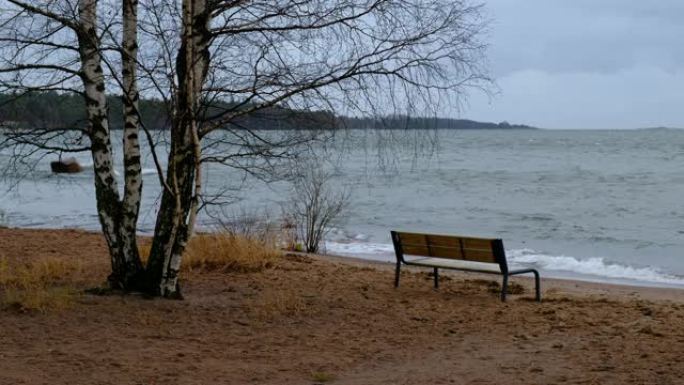 波罗的海沿岸的长椅和桦木
