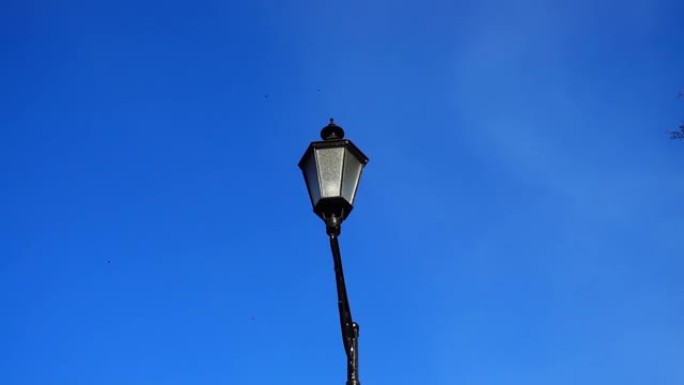 公园里的灯笼在天空的背景下。在11月拍摄落叶。
