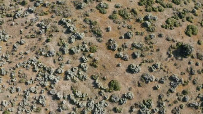 加利福尼亚羚羊谷-无人机库存镜头