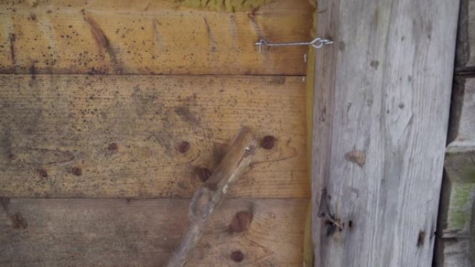 爱沙尼亚房子木门上的小锁