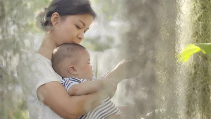 一个年轻的单身母亲的亚洲男婴正在公园里玩耍，在傍晚的户外场景中看着花园里的一棵树。