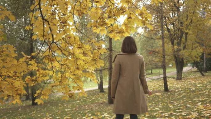 女人站在秋天公园的树下，手里拿着枫叶