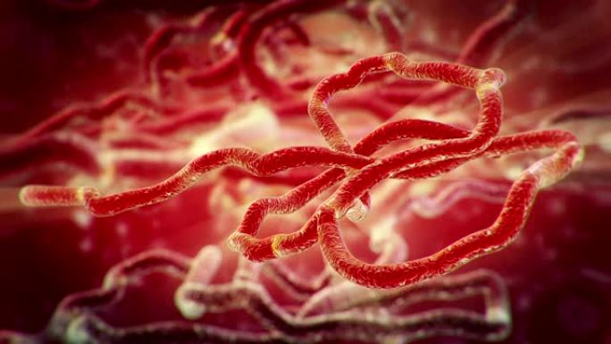 埃博拉病毒浮动微观科研