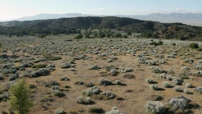加利福尼亚羚羊谷-无人机库存镜头