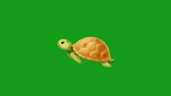 绿色屏幕背景的游泳乌龟运动图形