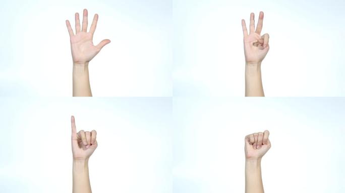 数字计算。用手指从1到5计数的无法识别的女人的特写镜头，隔离在白色背景上，并带有广告复制空间。有放置