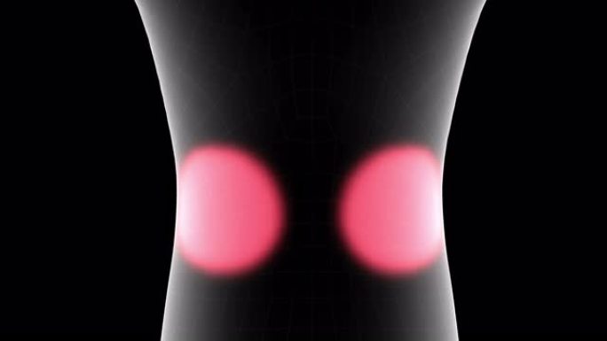 儿童x射线全息图的3d动画显示了带有alpha通道的腰部疼痛区域